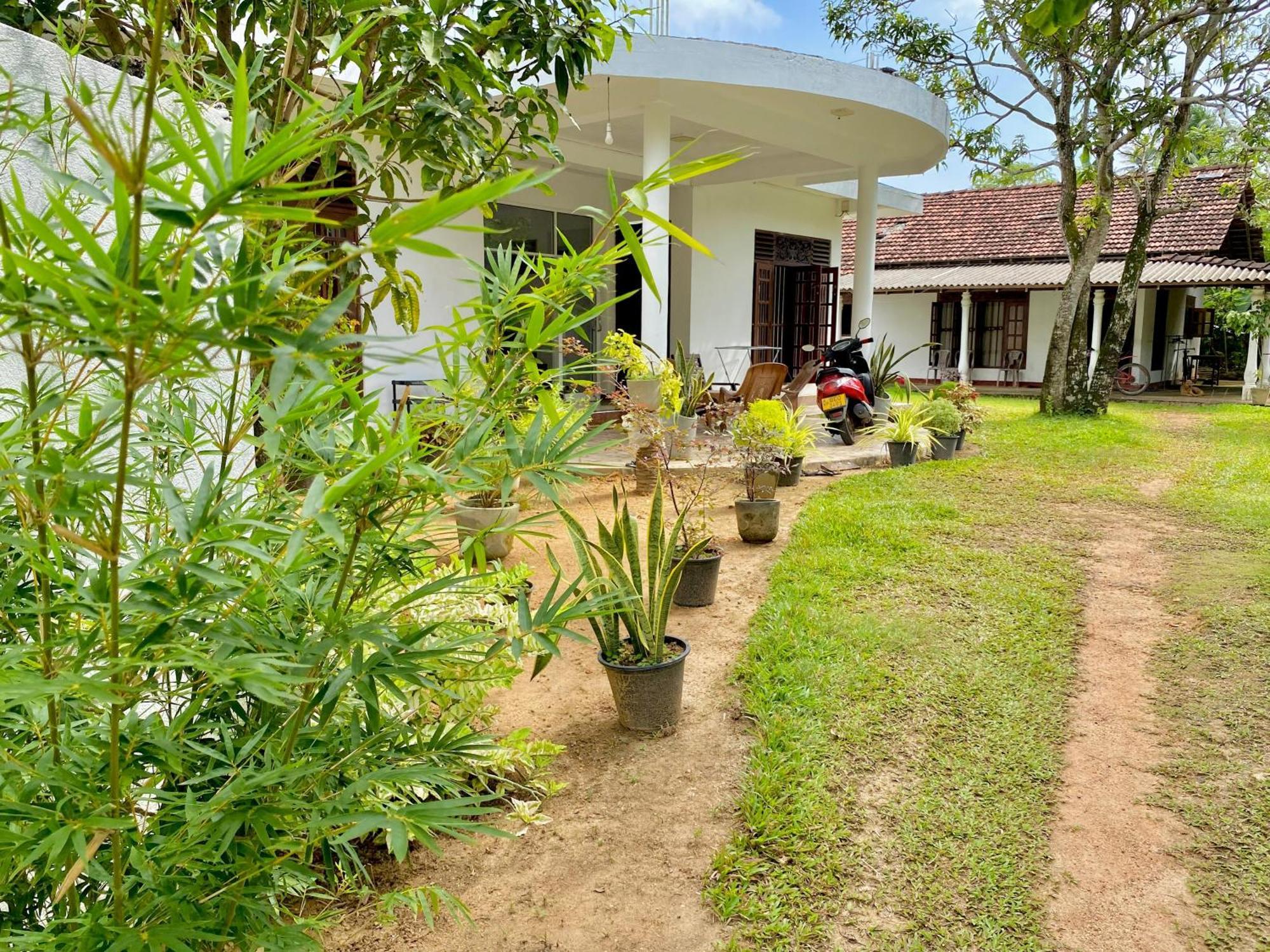 Sasmika Villa Surf And Yoga Hostel Weligama Exteriér fotografie