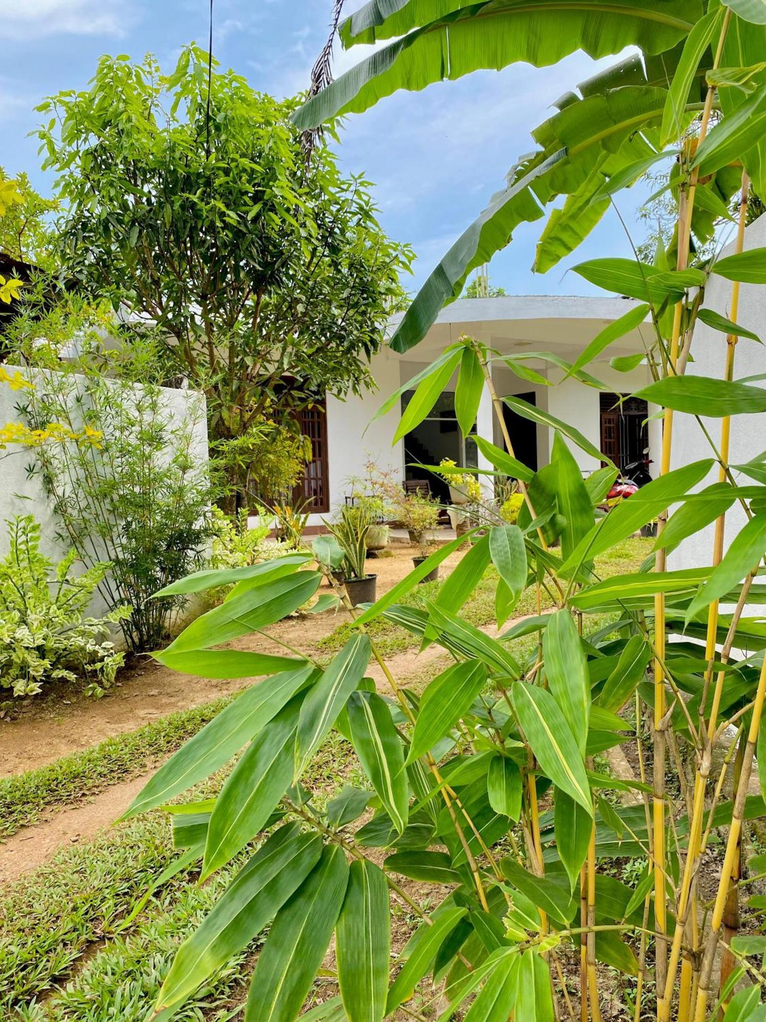 Sasmika Villa Surf And Yoga Hostel Weligama Exteriér fotografie